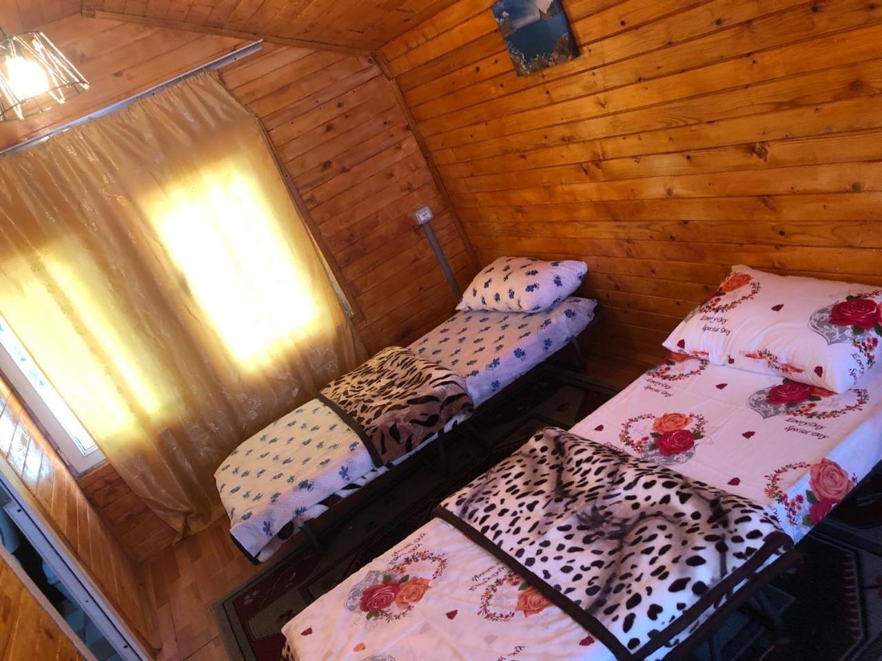 Bujtina Gashi Guest House Kukes Extérieur photo